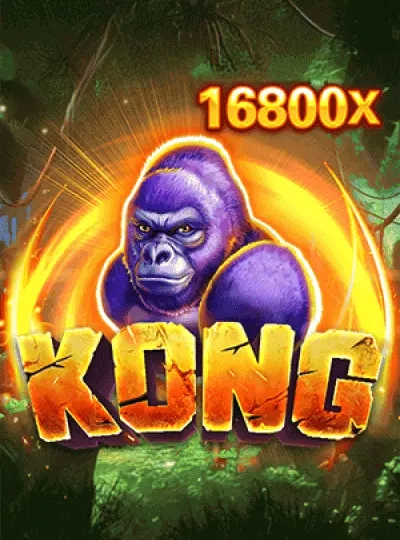 zv999